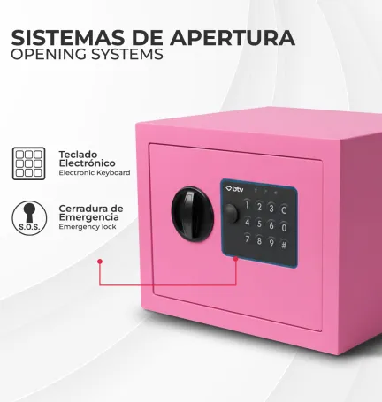 CAJA FUERTE ENA ROSA