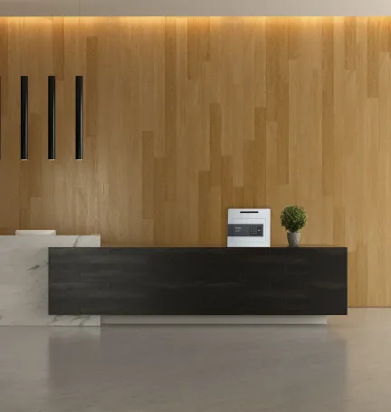 CAJA FUERTE JADE 27 ELECTRÓNICA RANURA