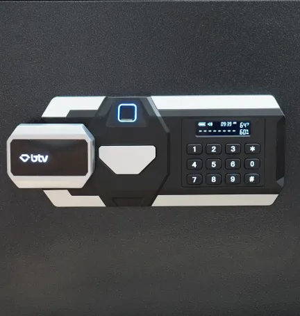 CAJA FUERTE DRACO 350