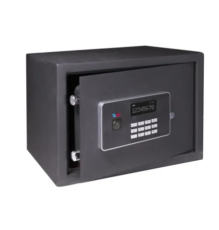 CAJA FUERTE VISION 25