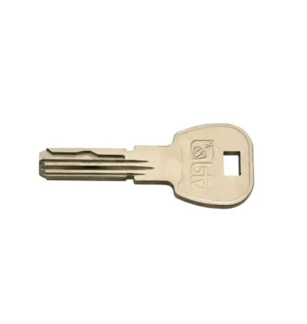 LLAVE EN BRUTO CILINDRO SNAKE SIN RAGATA