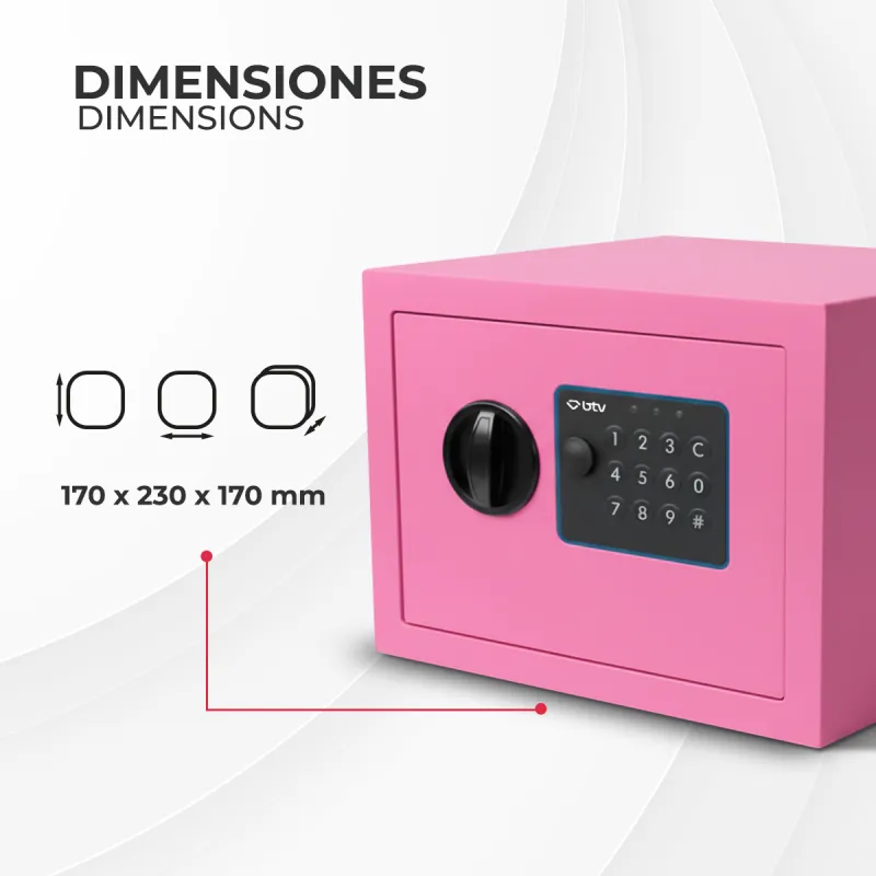 CAJA FUERTE ENA ROSA
