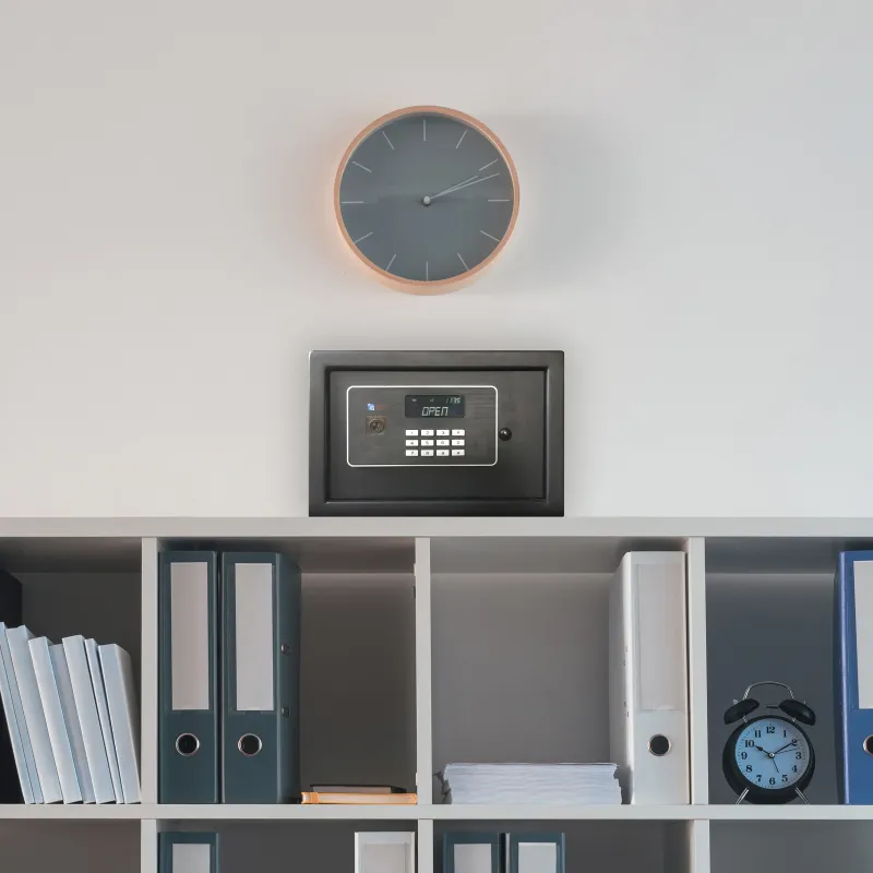 CAJA FUERTE VISION 20