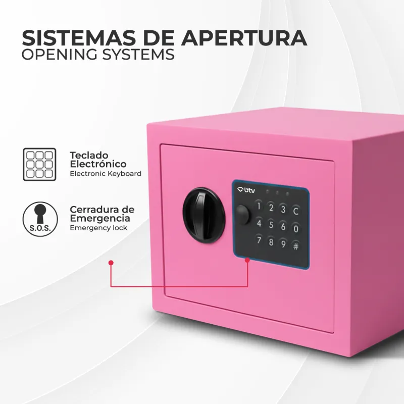 CAJA FUERTE ENA ROSA