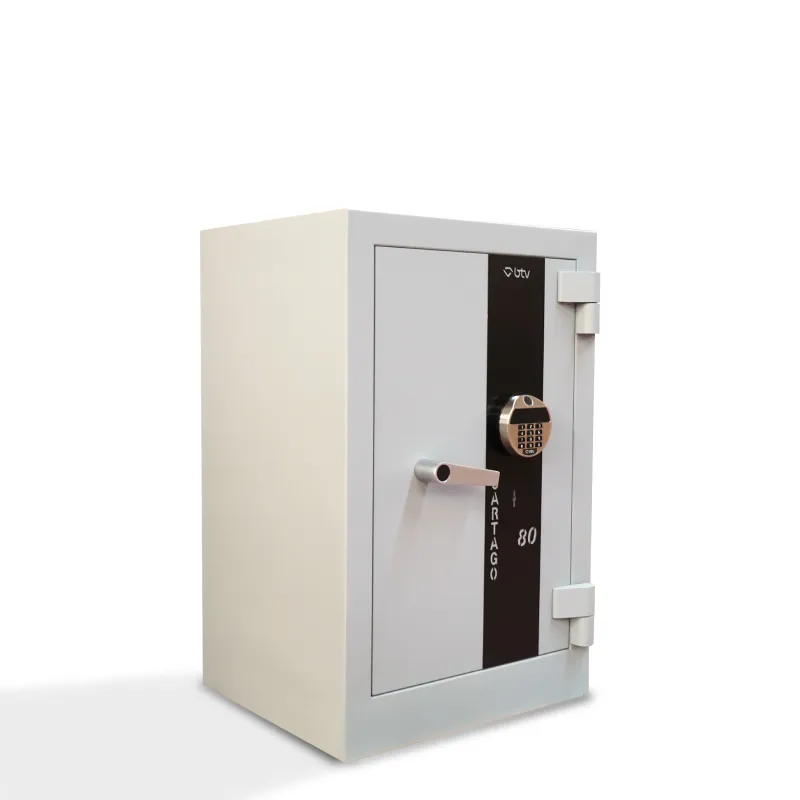 CAJA FUERTE CARTAGO 80 ELECTRÓNICA