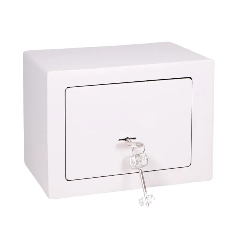 CAJA FUERTE MINI VAULT-17