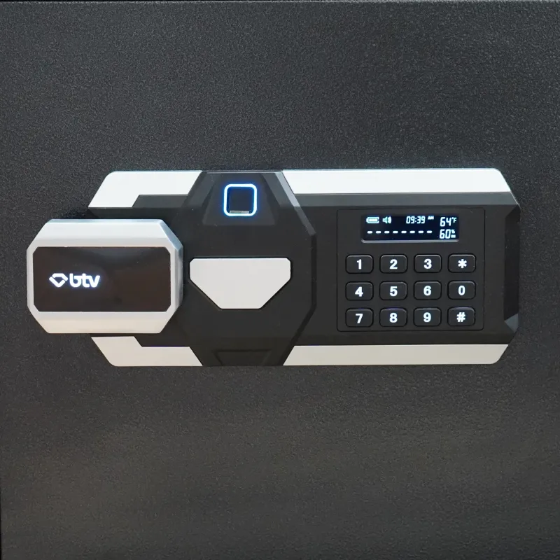 CAJA FUERTE DRACO 350