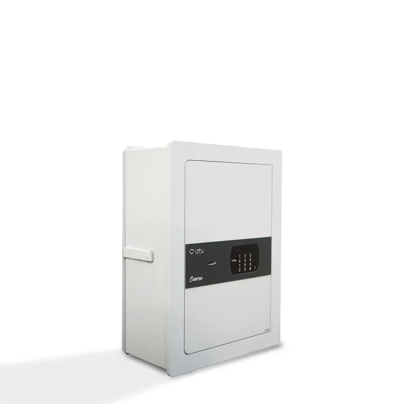 CAJA FUERTE CUARZO 55 EMPOTRAR